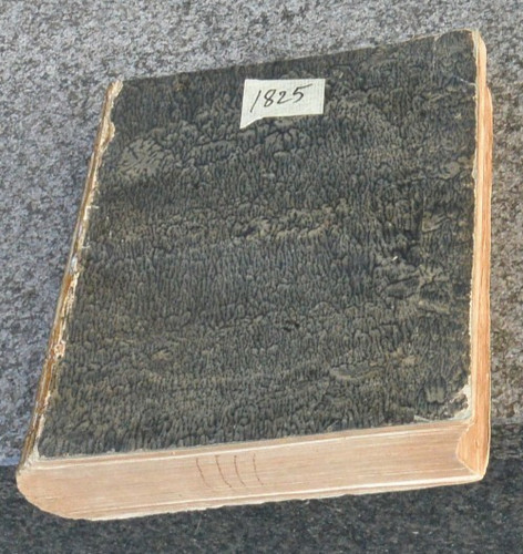 1825 amts blatt - 1825, amts-blatt